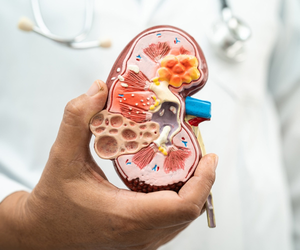 Nephrology Care Service